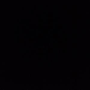 Meet your Posher, Whitney